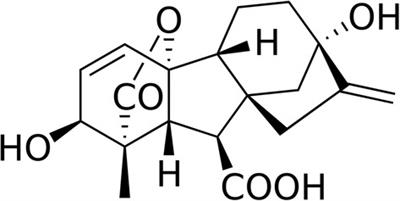 Gibberellin-regulated proteins: Emergent allergens